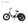 GW7022 Wholesale 3 Wheel fat tire tricycle for adults