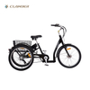 GW7019E 3 Wheel Tricycle Electric Bike
