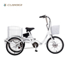 GW7005 20 Inch Three Wheels 7 Speeds Adult Bicycle