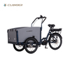 UB9046E Alloy Frame Cargo Bike 250W Mid Motor Cargo Bike Tricycle Electric with Wood Box