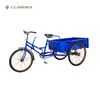 QG32-1S Three Wheel Cargo Tricycle Rear Cargo Box for Sale