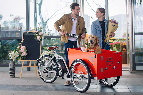 What is cargo bike and Why get one?