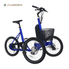 UB9021E Factory Direct Sale 3 wheel electric tricycle for adults