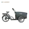 UB9031E-6S Children Or Pets E-bike Front Loading Cargo Bike Electric 3 Wheels