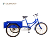 QG26-3P Nanyang Factory Directly 3 wheel bikes for seniors