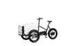 TUMBLER CLAMBER Brand 250W Electric Cargo bike Scooter 3 Wheel Cargo 