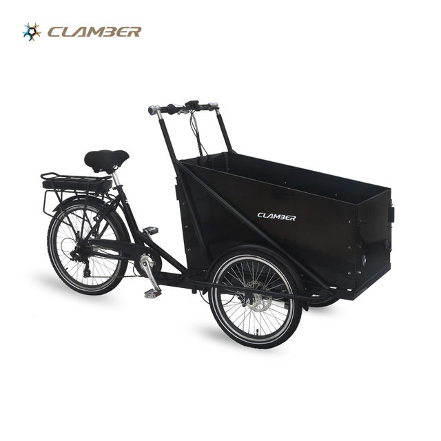 UB9036E Family Electric Cargo Bikes for kids