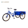 QG26-3P Nanyang Factory Directly 3 Wheel Tricycle for Old People