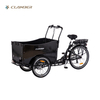 9019E-6S Three Wheels Electric Cargo Bike