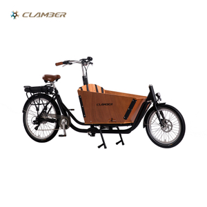 B-Box-E 250w Two Wheels Electric Cargo Bike for Sale