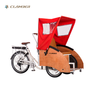 UB9043E Electric Cargo Bike Used for Carrying Old People
