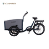 UB9046E Alloy Frame Cargo Bike 250W Mid Motor Cargo Bike Tricycle Electric with Wood Box